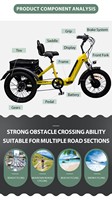 Sepeda listrik 3 roda tiga lipat, sepeda kargo 500w