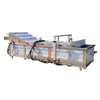 SUS304 Surf Bubble Cleaner Wortelgroente Bubble Washer Fabrieksprijs Voorgeverpakte Groenteschijfjes Fruit Ozon Wasapparatuur