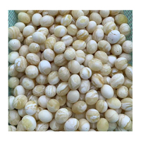 Natural Russian Baltic White Tiger Skin Pattern Amber Jujube Beads