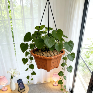 <span class=keywords><strong>Macetas</strong></span> <span class=keywords><strong>de</strong></span> Plástico Extra Grandes/<span class=keywords><strong>Jumbo</strong></span> Resistentes <span class=keywords><strong>de</strong></span> Alta Calidad y Económicas - Diseño Clásico para Bonsái, Balcón y Jardín Exterior - Product Image 3