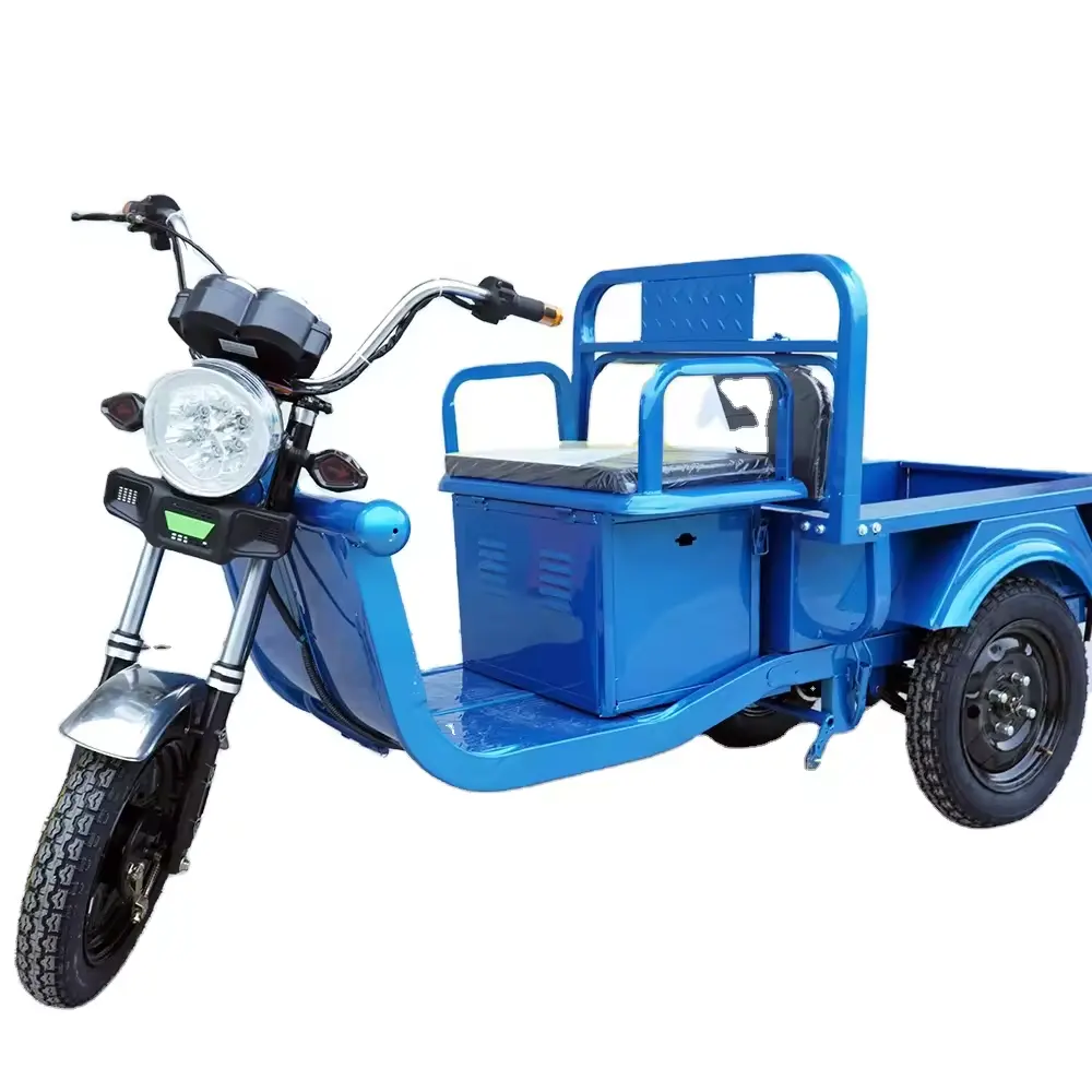 2024 vente en gros adultes électrique 3 roues Cargo Tricycle 1 tonne capacité corps ouvert motorisé Type de conduite pour usage familial passagers