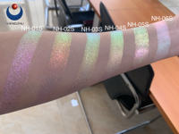 Shengzhu NH Serie Schillerndes Aurora Meerjungfrauen-Chamäleon-Pigment Loses Puder Kosmetik Make-up Lidschatten Nagellack Autolack