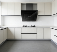 Hotte aspirante latérale de style rétro simple, design facile à nettoyer pour une tranquillité d'esprit, adaptée aux petites cuisines de style britannique