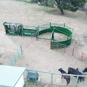 Hydronische, verzinkte, tragbare Viehfangbox mit Tor und Wiege für den Verkauf – Viehfangbox - Product Image 4