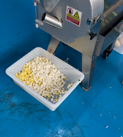 Multifunctionele commerciële groentesnijder voor wortelgroenten, aardappelen, wortelen, snijden, diceren en raspen