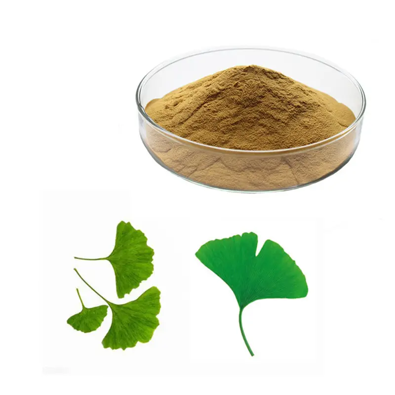Reliable manufacturer supply Ginkgo biloba extract popular Ginkgo biloba leaf extract powder for nourishing brain