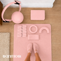 Kit de Yoga et Pilates Professionnel Rose avec Logo Personnalisé pour Studio : Anneau de Pilates, Ballon, Bloc, Tapis, Bandes de Résistance en Silicone, Haltères et Poids