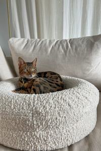 Toptan lüks Modern yuvarlak rahat kadife bellek köpük yatak soğutma köpekler kediler açık kullanım için çıkarılabilir kapak - Product Image 4