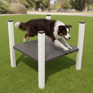 Mesa de Agilidad Profesional para Perros, Precio al por Mayor, Equipo de Juego para Exteriores, Parque de Ejercicios para Perros - Product Image 1