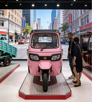 Tricycle Passager 6 Places Cabine Ouverte Véhicule à Trois Roues Batterie au Lithium Meilleur Prix