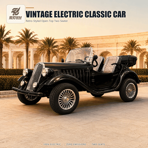 Carrello da Golf - Alta Qualità, Prezzo Conveniente. Miniature Vintage per Parchi di Divertimento <span class=keywords><strong>Auto</strong></span> Sportiva Elettrica a Benzina per Intrattenimento - Product Image 1
