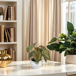 Serpent artificiel plante bonsaï <span class=keywords><strong>Sansevieria</strong></span> intérieur/<span class=keywords><strong>extérieur</strong></span> résistant aux UV écologique durable de haute qualité taille personnalisable maison - Product Image 6