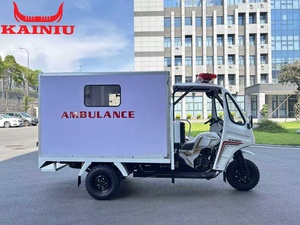 Venta Directa de Fábrica, Triciclo Ambulancia KAINIU 2025, el Más Vendido, Motocicleta de Carga de 3 Ruedas, <span class=keywords><strong>250CC</strong></span>, Motorizado, Cerrado, para 4 Pasajeros - Product Image 4