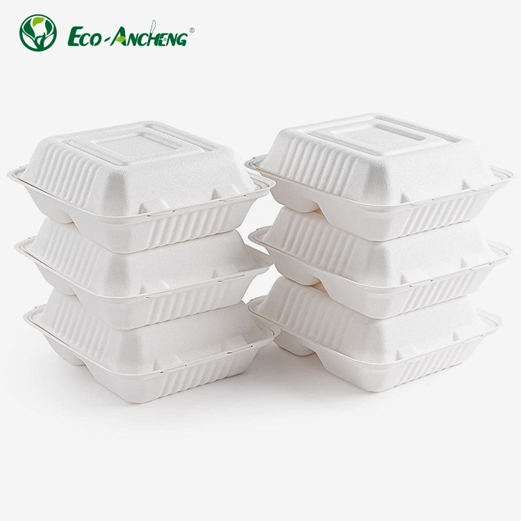 Compostable Disposable Food Container 9inch Factory