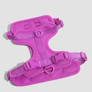 Arnés para Perro Reversible Premium, Ajustable e Impermeable, de Fábrica BSCI, Venta al Por Mayor, Collar para Mascotas - Product Image 6
