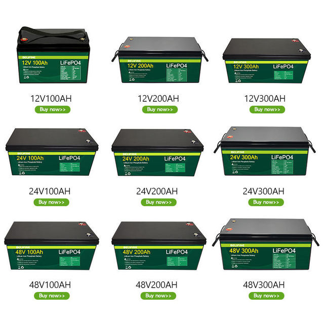 12.8V 100Ah 200Ah Lithium Iron Phosphate Battery Solar Off-Grid System Marine RV Camping Energy Storage 3000 Cycles Built-in