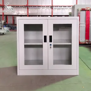 Çin tedarikçisi Knock-Down inşaat çift cam döner kapı kabine 2 kapı kilitlenebilir kısa Metal dolap