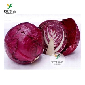 Xuất Khẩu Tươi Đỏ Trẻ Tím Bắp Cải Từ Trung Quốc - Product Image 1