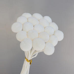 Decoración para el Hogar, Flores Preservadas, Ramo Seco, Bola Dorada, Billy Craspedia, para Decoración de Bodas - Product Image 3