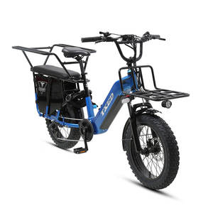 Bicicleta de Carga TXED de Venta Caliente con Neumático Personalizado de 20"x4.0'', Freno de Disco Hidráulico Delantero/Trasero y Motor de Cubo Trasero de 48V/750W - Product Image 3