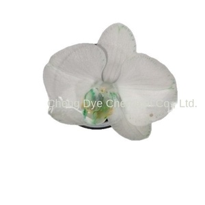 Agente Absorbente de Flores, Pigmento para Phalaenopsis, Absorción por Rizoma, Colorante Ácido Soluble en Agua de Alta Concentración, Colorante Especial - Product Image 5