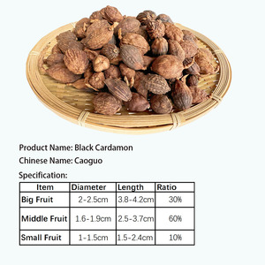 Prix d'usine, bonne qualité, épices chinoises, herbes simples, Caoguo, cardamome noire pour la cuisine - Product Image 5