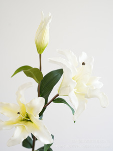 H-734 vendita diretta della fabbrica romantica decorazione di nozze giglio artificiale fiori bianco artificiale vero tocco giglio fiore all'ingrosso - Product Image 2
