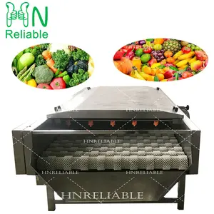 Automatic vegetable fruit seafood cleaning washer sea cucumber oyster grape fruit orange apple ginger cleaning equipment