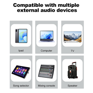   Mini Amplificador de Audio, Pantalla Digital, Doble Voltaje, USB, TF, FM, Radio, Bluetooth, Compatible con OEM, 2 Canales, para Hogar, Auto, Fábrica, Venta al por Mayor - Product Image 5