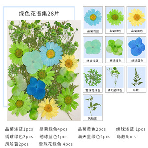 28pcs DIY Nhựa thủ công ép hoa Kit cho nến làm iPhone trường hợp thiên nhiên lá nghệ thuật Nguồn cung cấp - Product Image 3