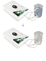 Générateur d'ozone puissant de 600 mg avec commande par bouton simple pour la désinfection de l'eau et des aliments
