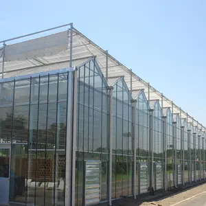 China supplier glass greenhouse house complete kit green house glass glass pyramid house