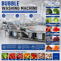 Automatische luchtbelwasmachine voor bladgroenten, fruit, aardappelen, wortelen, komkommers en voedselverwerking