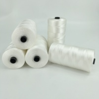 Fil de pêche blanc en nylon/polyester 210D, haute résistance, écologique, résistant à l'abrasion, 3-4 brins, vente chaude en Chine, directement de l'usine
