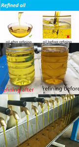 Ommercial-máquina de refinación de aceite comestible a pequeña escala, para producir aceite orgánico saludable - Product Image 6