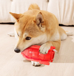 Brosse à Dents Vaisseau Spatial Balle Molaire Bâton Résistant à Grignoter Jouet <span class=keywords><strong>pour</strong></span> <span class=keywords><strong>Chien</strong></span> au Design Unique Vente en Gros - Product Image 2