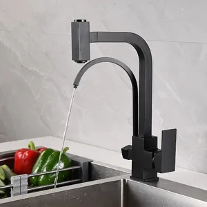Waterfilter musluklar mutfak musluk çift kolu güverte üstü musluk bataryası 360 derece rotasyon su arıtma özelliği vinç