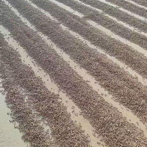 बायोगैस के लिए पेलेट आयरन ऑक्साइड डिसल्फ्यूज़र फे2o3 आयरन ऑक्साइड डिसुलूराइजेशन सल्फर H2s - Product Image 5