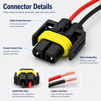 Adaptateur femelle H11 H8 880 881, faisceau de câblage, connecteur de lampe 2 broches, faisceau de câblage pour phare et feu antibrouillard