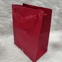 Sacs Cadeaux de Luxe pour Mariage et Fêtes, 10 Pièces, Sacs Cadeaux Élégants Rectangulaires avec Poignées en Ruban pour Anniversaires