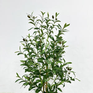 Olivier de créateur 4 pieds 5 pieds 6 pieds 7 pieds Jardinière minimaliste de verdure architecturale pour affichage intérieur et extérieur - Product Image 3