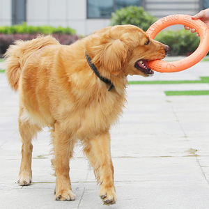 Hoopet Jouet pour chien, anneau à mâcher en EVA pour grands chiens, jouet interactif d'entraînement pour animaux de compagnie, orange, petit, grand - Product Image 3