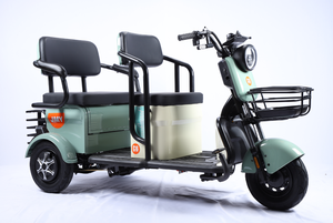 Gia Đình Sử Dụng Trung Quốc Cao Guality Mạnh Mẽ Nhất Tốc Độ Cao 48V 600W 800W Ba Bánh Điện 1000W 3 Bánh Xe Cho Người Lớn - Product Image 3