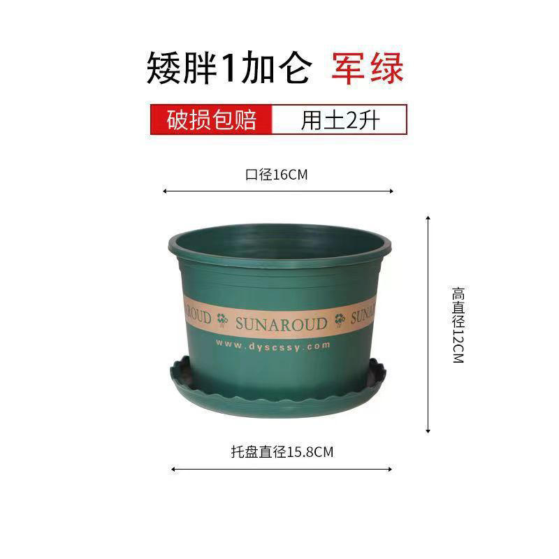 Court Taille 1 [16 cm de diamètre] 1 pièce