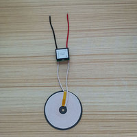 Taidacent 24V Entrée 12V 2A Sortie Aimant Chargeur Sans Fil À Induction TX RX Magnétique Sans Fil de Banque de Puissance de Module