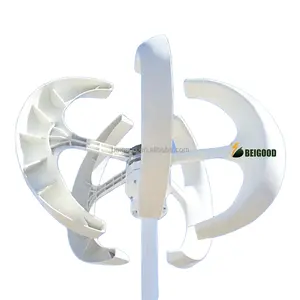 Silence vertical axis wind turbine 48v eolic energy generator High efficiency 800w turbine generator