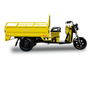 Nuovo modello 3 <span class=keywords><strong>ruote</strong></span> elettrico moto a <span class=keywords><strong>tre</strong></span> <span class=keywords><strong>ruote</strong></span> anziano triciclo elettrico triciclo Cargo Bike - Product Image 5