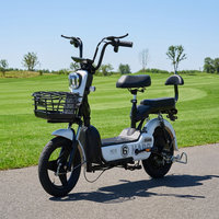 Trottinette électrique 350W 48V 12A avec freins à tambour avant et arrière, écran LCD, pour les loisirs