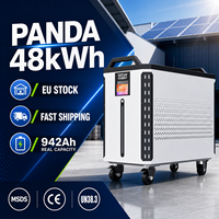 Stock UE Docan Panda Batterie LiFePO4 48kWh 51.2V 942Ah Grade A 8000+ Cycles 300A BMS CE IEC62619 Stockage Solaire Hors Réseau pour la Maison (ESS)