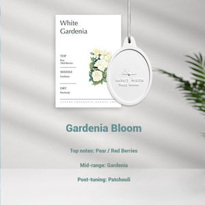 Diffuseurs d'air pour voiture, pierre de gypse, parfum, évaporation naturelle, 120 jours, emballages élégants, ensembles - Product Image 6